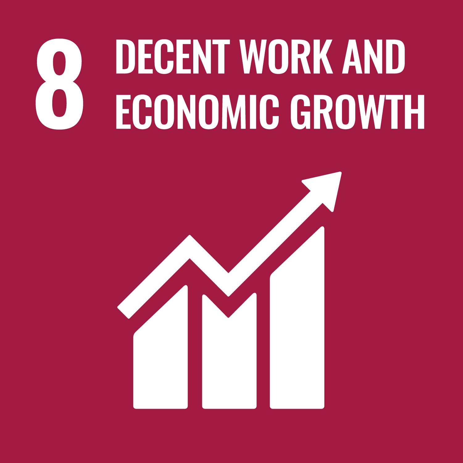 SDG 8 Image