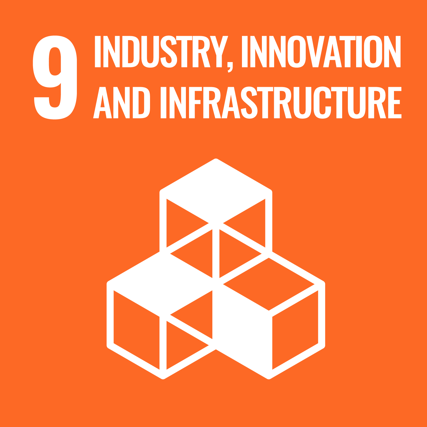 SDG 9 Image