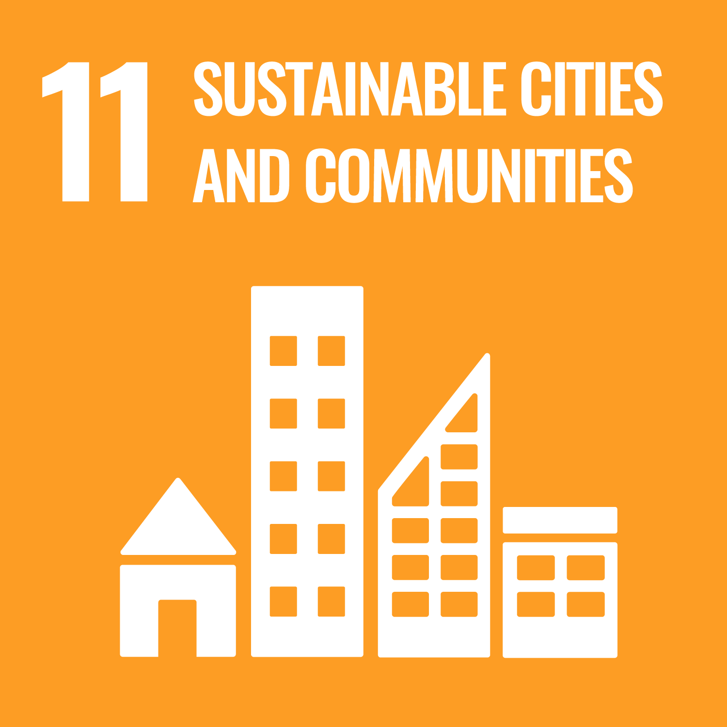 SDG 11 Image