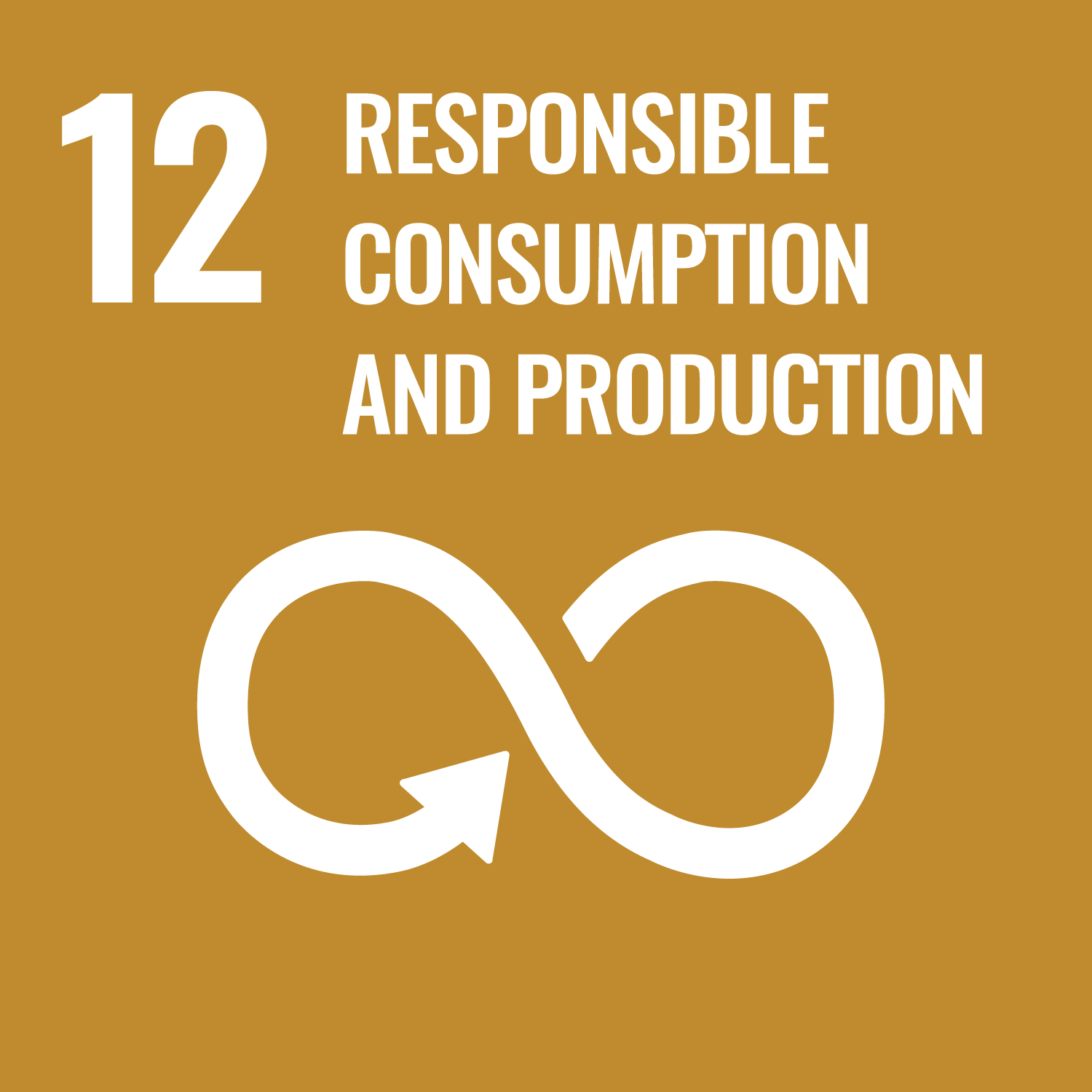 SDG 12 Image