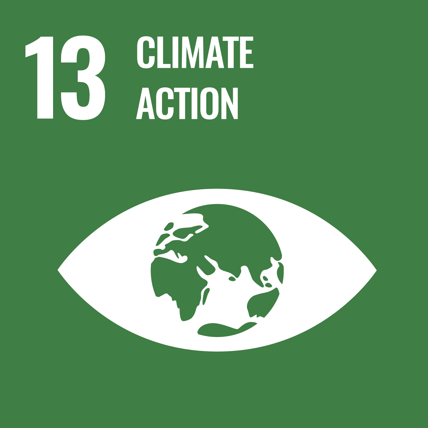 SDG 13 Image