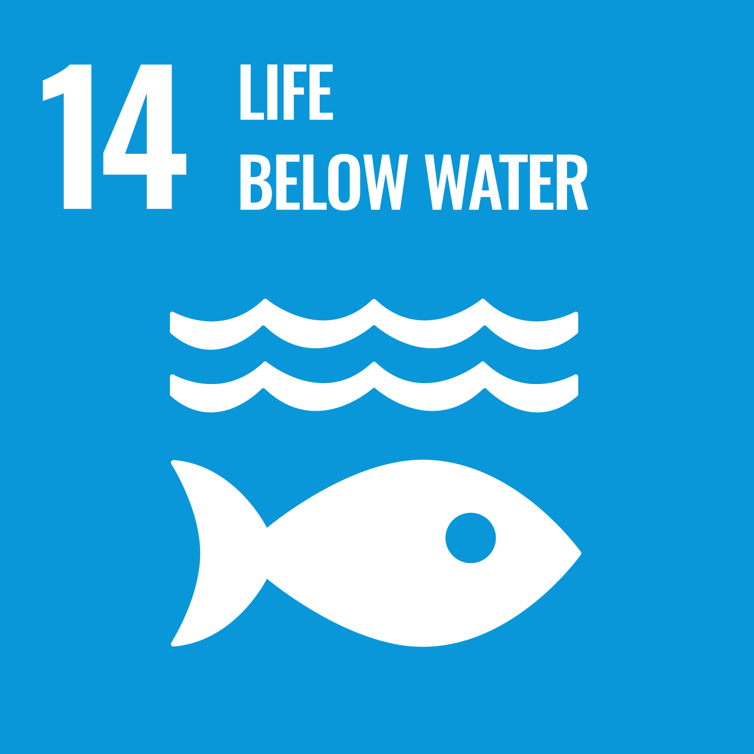 SDG 14 Image