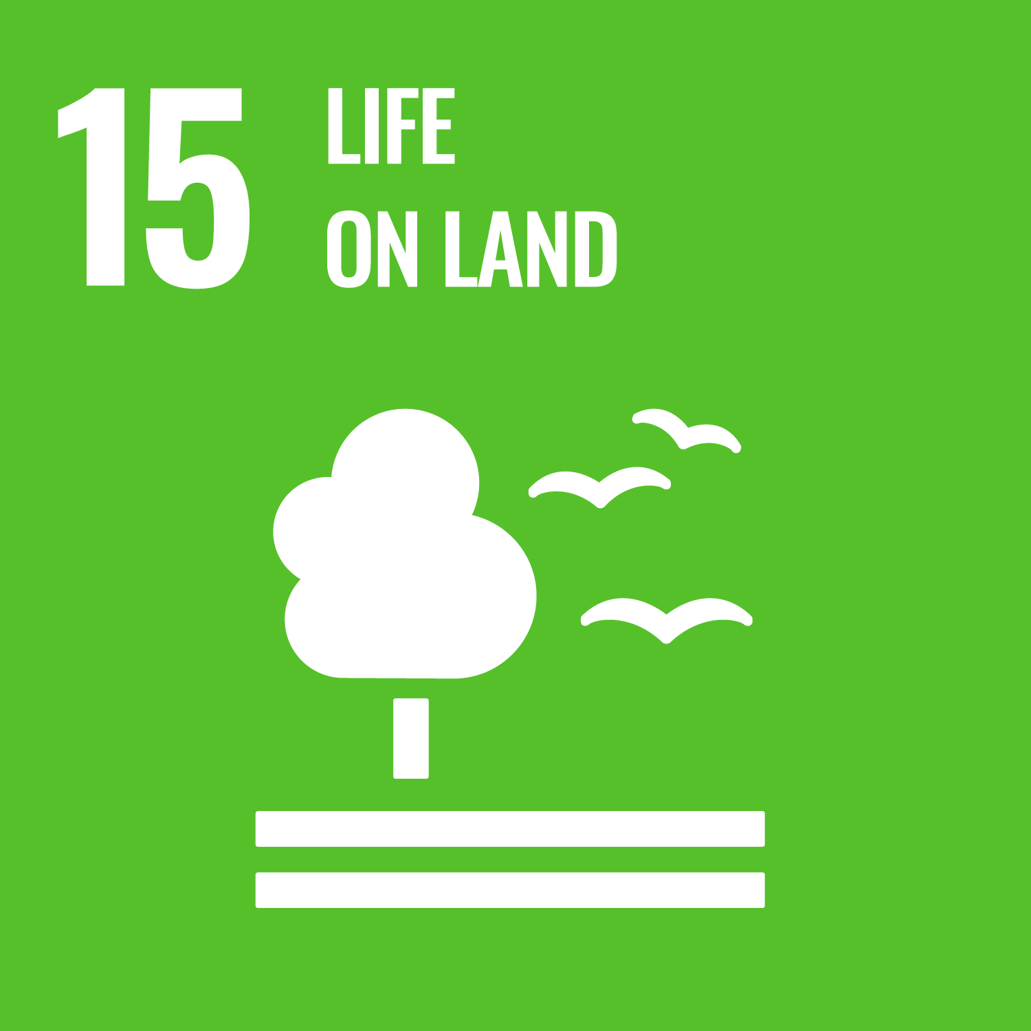 SDG 15 Image