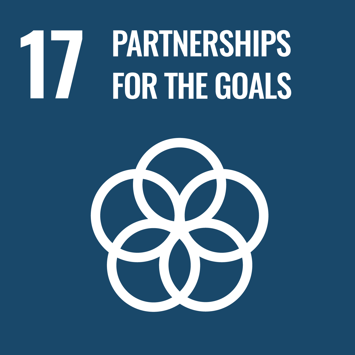 SDG 17 Image